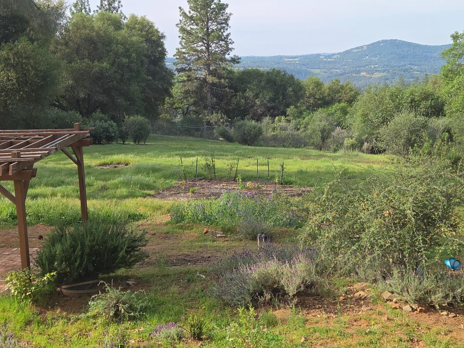 6880 Kahala Road Garden Valley, CA 95633 - Photo 46 of 52 a view of a garden with a lake