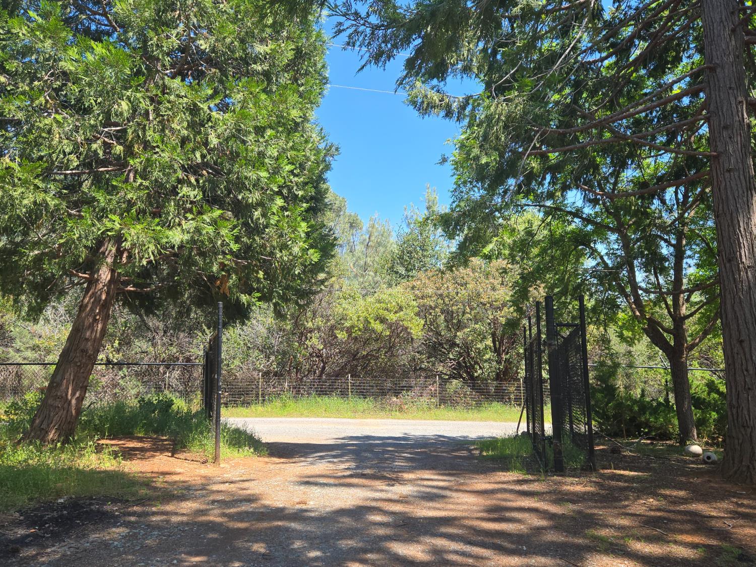 6880 Kahala Road Garden Valley, CA 95633 - Photo 51 of 52 a view of a yard with a tree