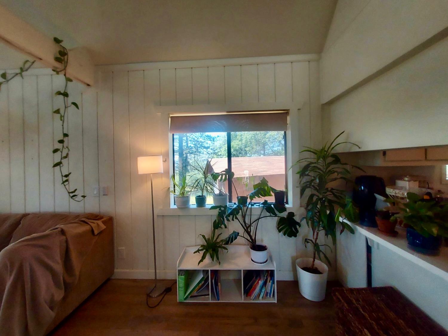 6880 Kahala Road Garden Valley, CA 95633 - Photo 7 of 52 a living room with furniture and a potted plant