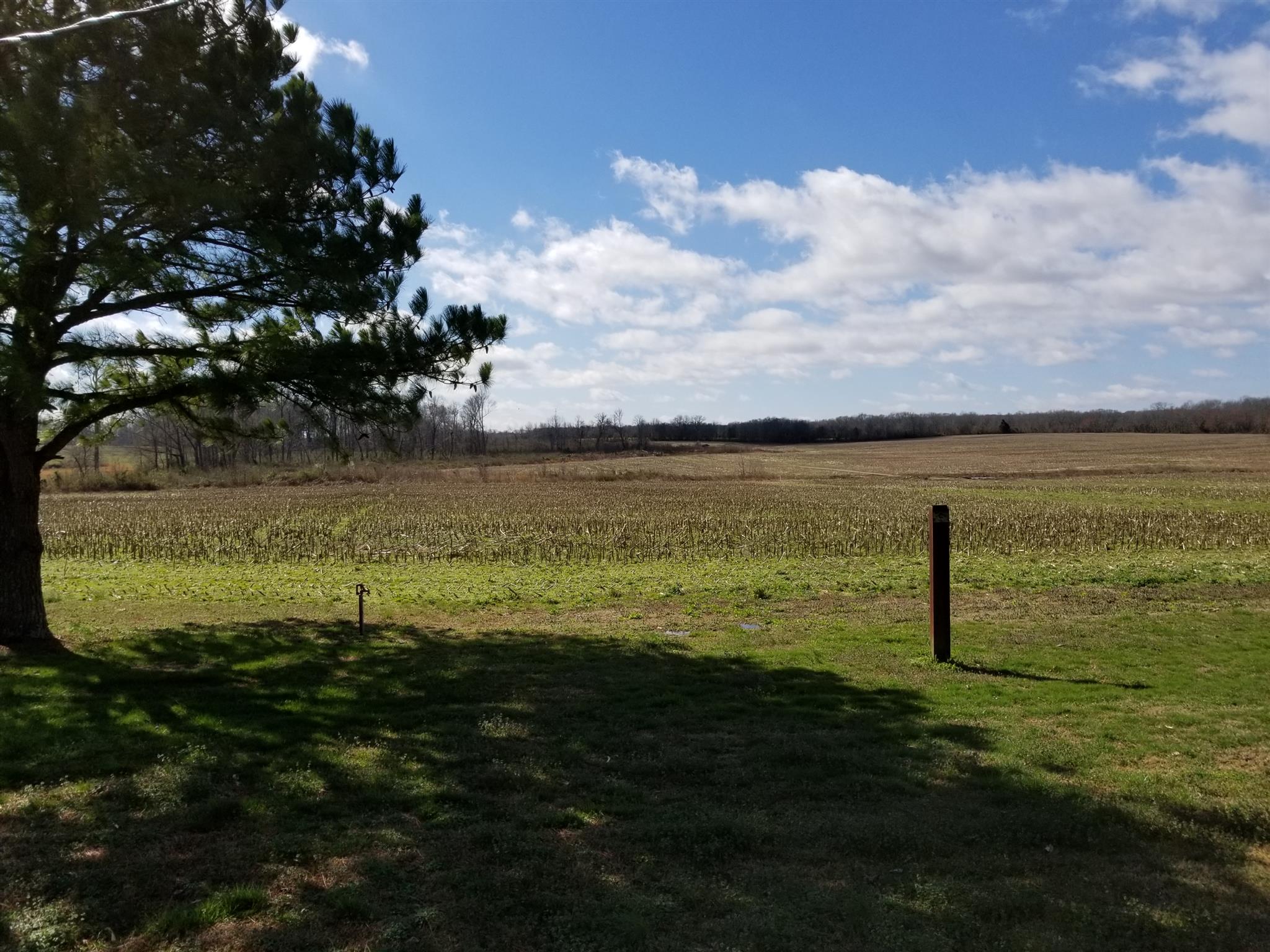 1309 Smith Road Manchester, TN 37355 - Photo 12 of 18 a view of a lake with a big yard