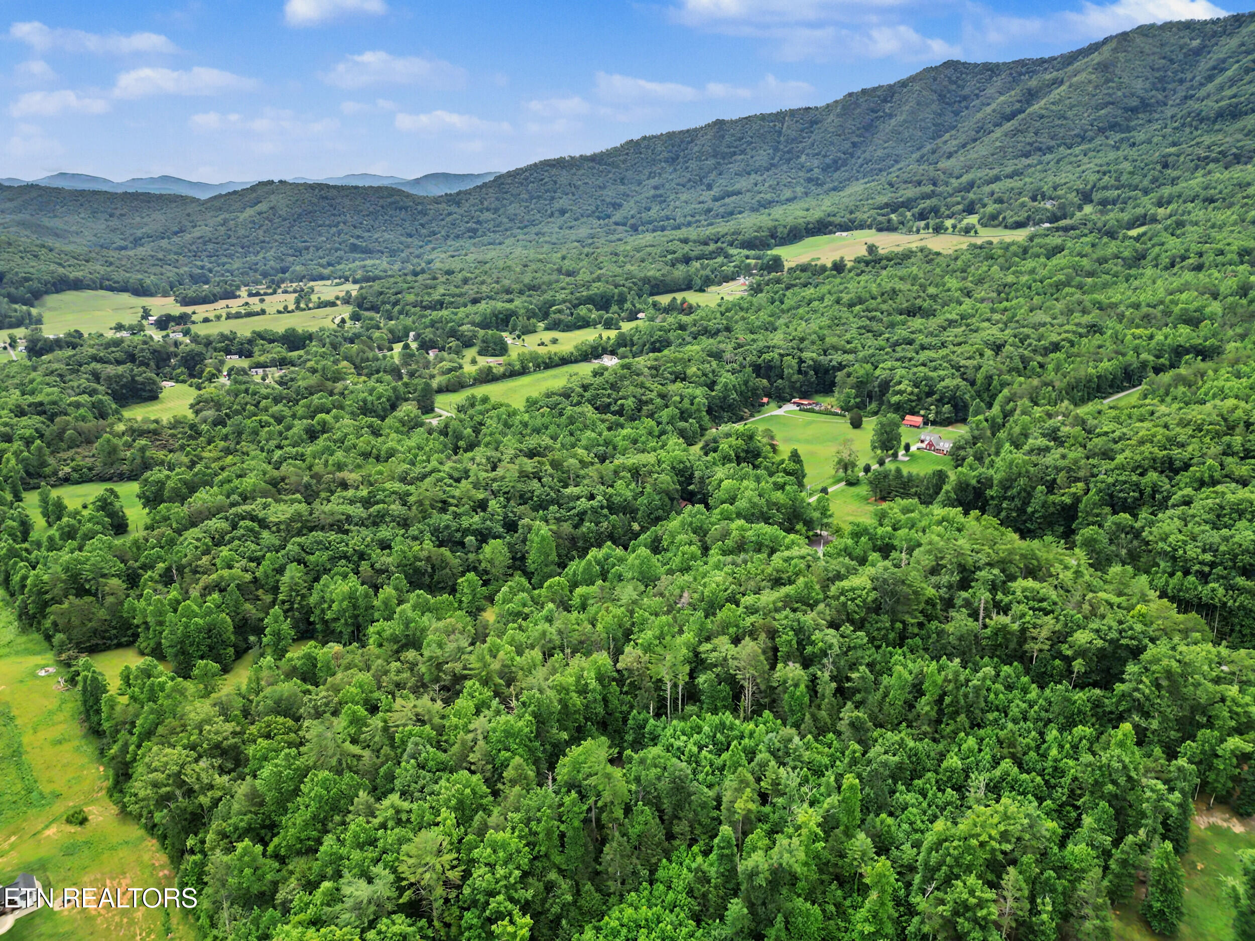 1006 Dry Valley Road Townsend, TN 37882 - Photo 48 of 54 47_dji_0075