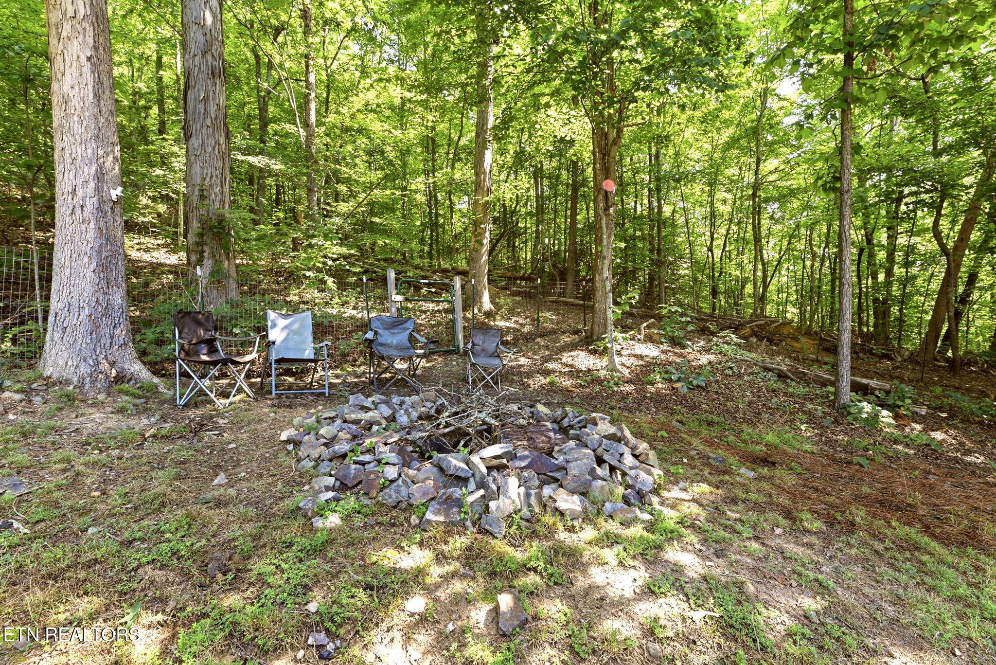 281 Lone Mountain Road Andersonville, TN 37705 - Photo 36 of 46 37-web-or-mls-DSC_5164