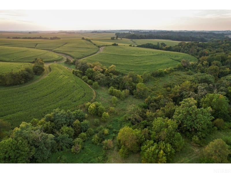 0 Gold Mine Road McGregor, IA 52157 - Photo 14 of 27 Gallery Image 14