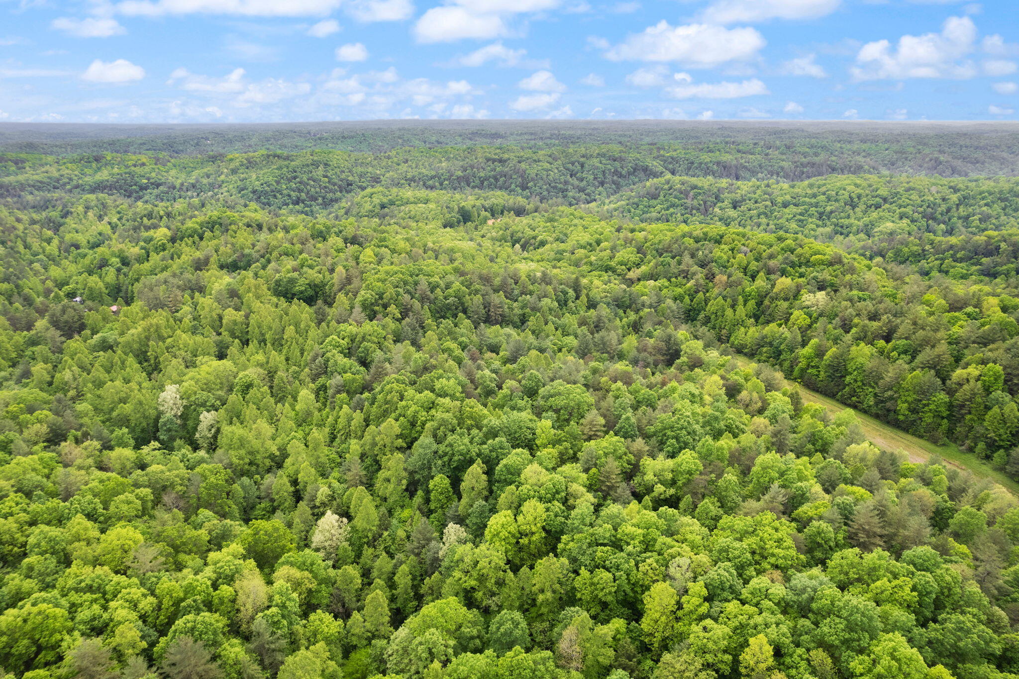 1 Clay-Alexander Road Campton, KY 41301 - Photo 26 of 34 27-web-or-mls-DJI_0265