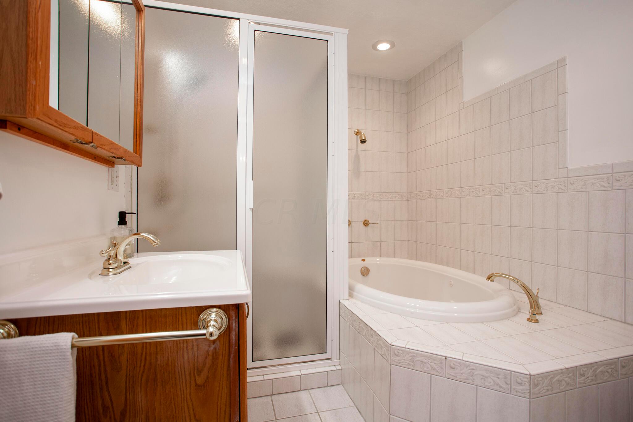 4979 Nickelson Road Prospect, OH 43342 - Photo 33 of 68 Primary bath with jetted tub and separate shower