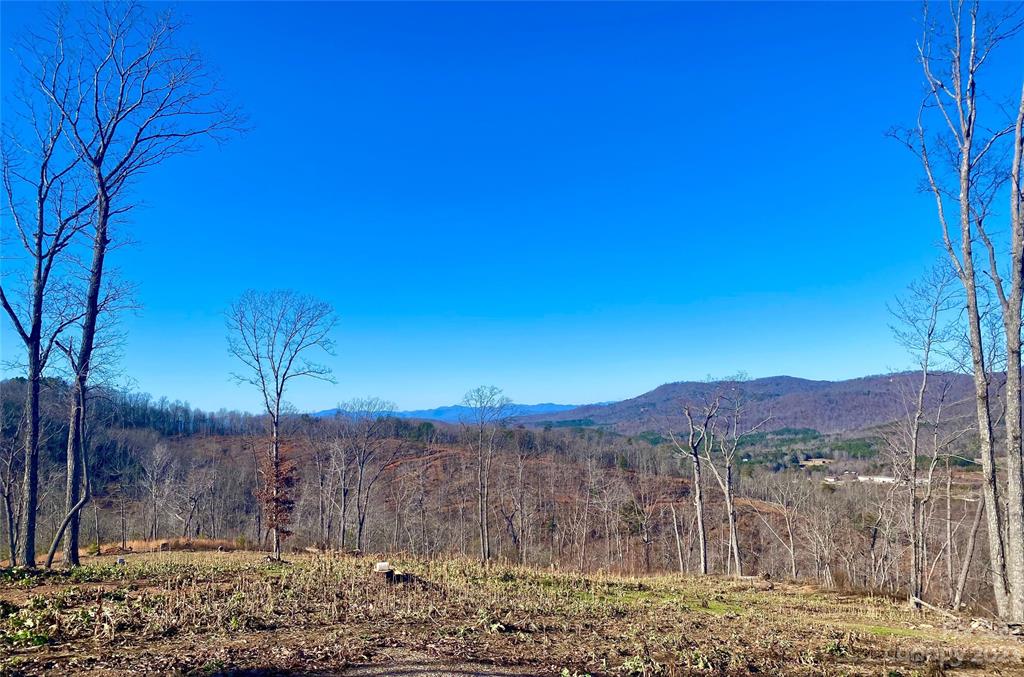 0 Towery Trace Road Ellenboro, NC 28040 - Photo 1 of 30 Gallery Image 1
