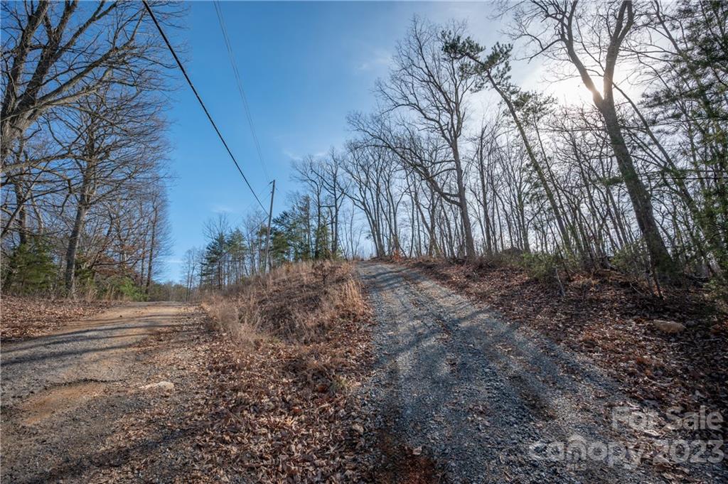 0 Towery Trace Road Ellenboro, NC 28040 - Photo 11 of 30 Gallery Image 11