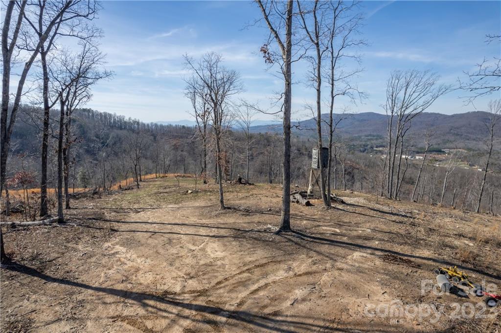 0 Towery Trace Road Ellenboro, NC 28040 - Photo 17 of 30 Gallery Image 17