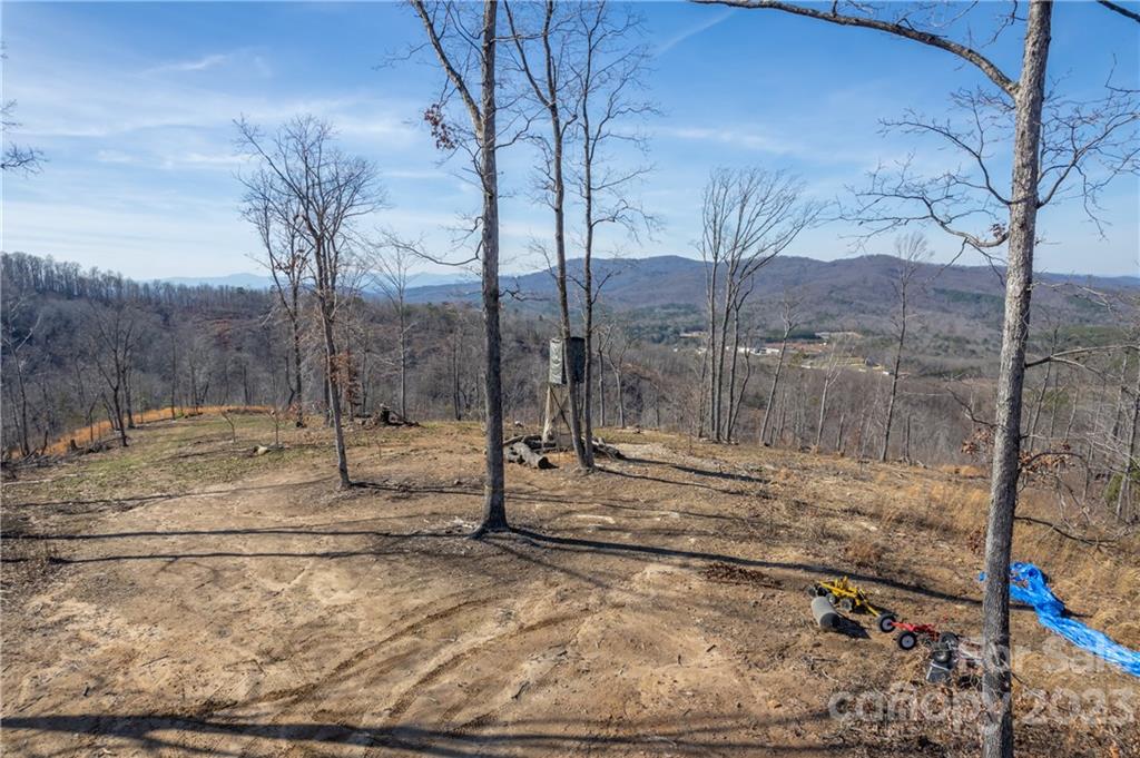 0 Towery Trace Road Ellenboro, NC 28040 - Photo 18 of 30 Gallery Image 18