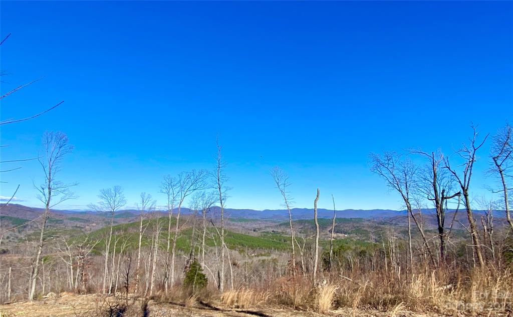 0 Towery Trace Road Ellenboro, NC 28040 - Photo 2 of 30 Gallery Image 2