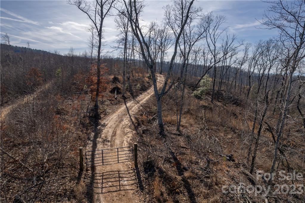0 Towery Trace Road Ellenboro, NC 28040 - Photo 7 of 30 Gallery Image 7