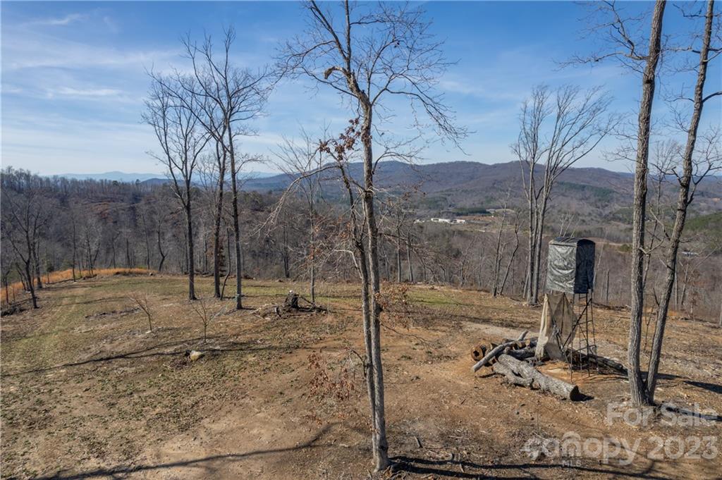 0 Towery Trace Road Ellenboro, NC 28040 - Photo 8 of 30 Gallery Image 8