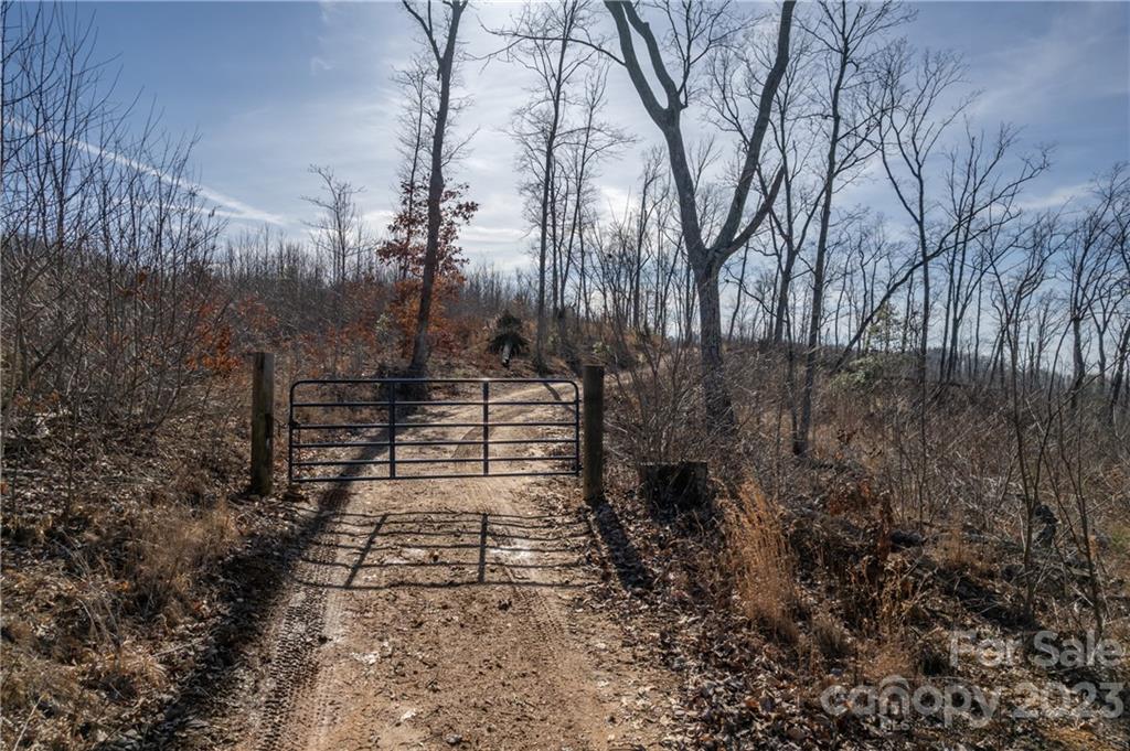 0 Towery Trace Road Ellenboro, NC 28040 - Photo 10 of 30 Gallery Image 10