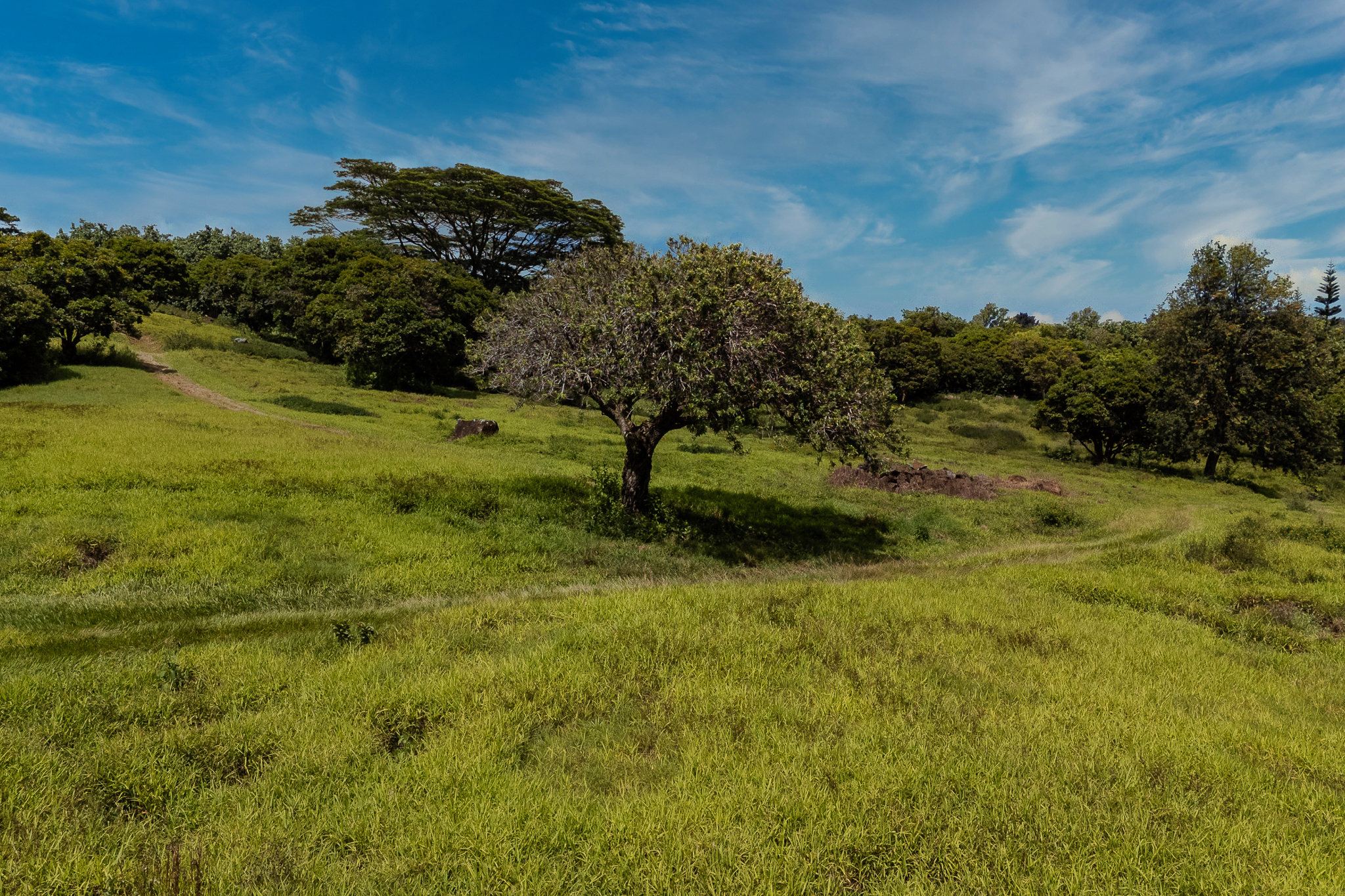 5078 Lot 44 Kua Road Kalaheo, HI 96741 - Photo 6 of 14