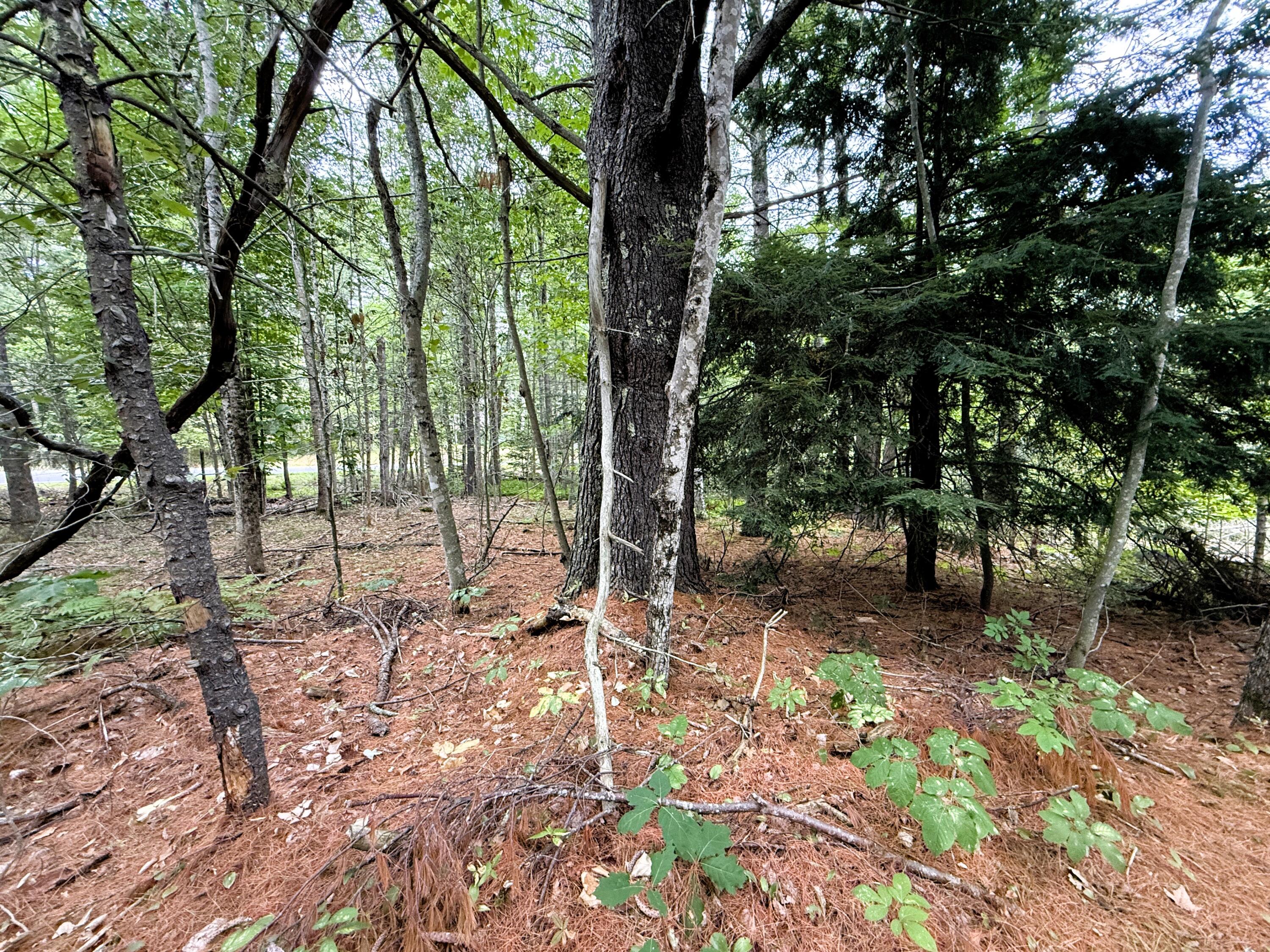Lot 6-54 Razorville Road Washington, ME 04574 - Photo 5 of 6 4
