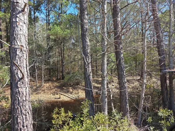 a view of backyard of house