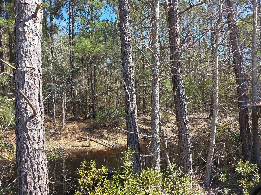 12635 Farm To Market Road 356 Trinity, TX 75862 - Photo 8 of 11 a view of backyard of house