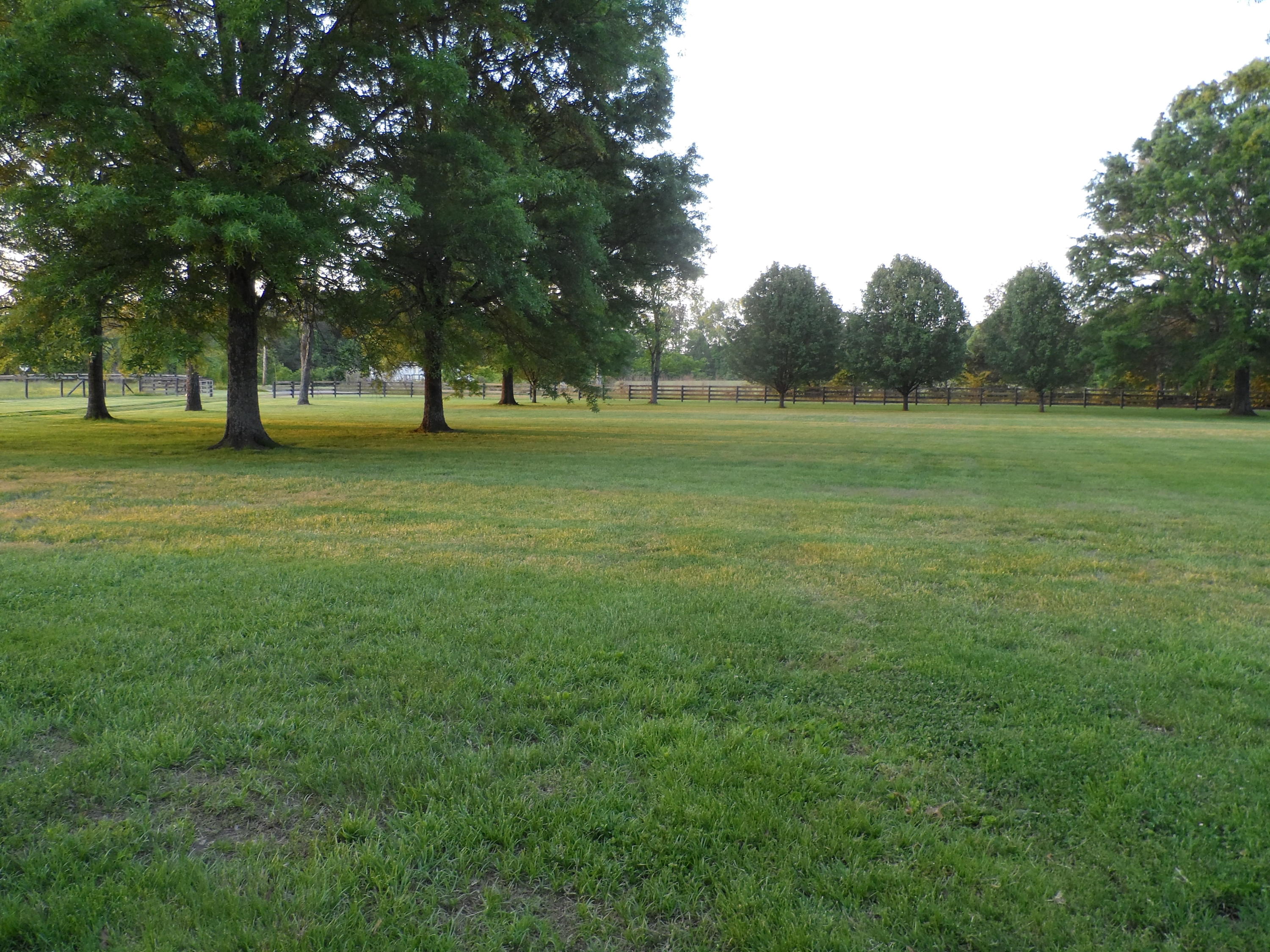 1041 Kile Lake Road Southeast Cleveland, TN 37323 - Photo 29 of 39 SAM_1654