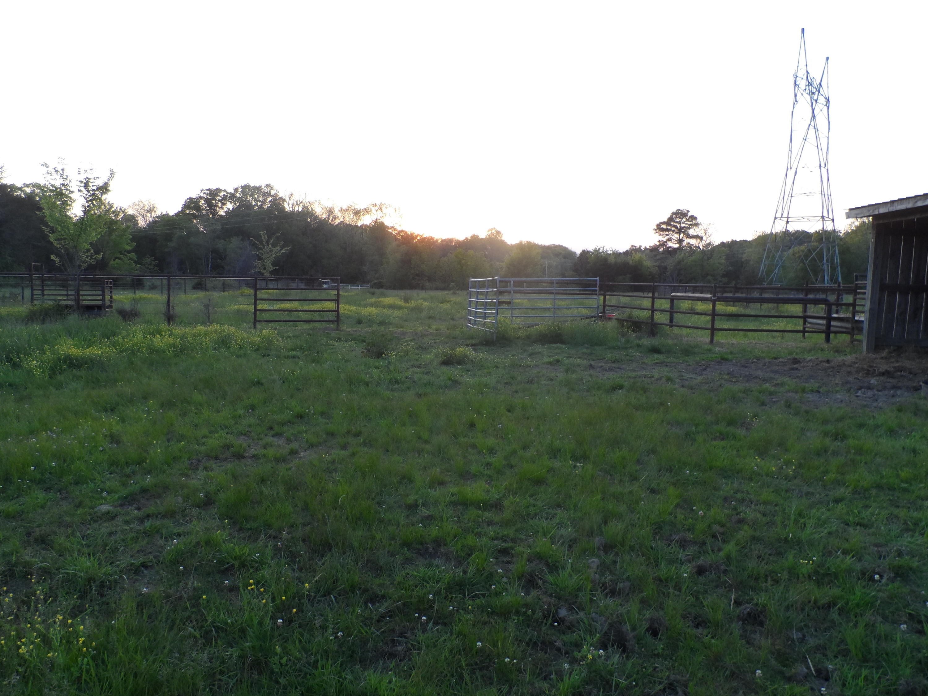 1041 Kile Lake Road Southeast Cleveland, TN 37323 - Photo 38 of 39 SAM_1664