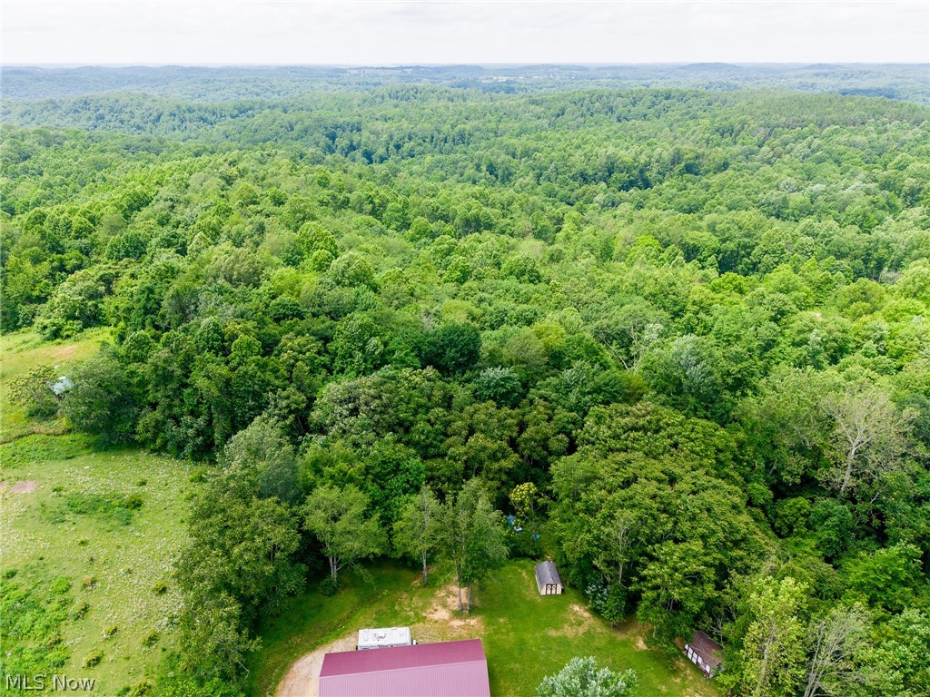 74333 Irish Ridge Road Kimbolton, OH 43749 - Photo 37 of 43
