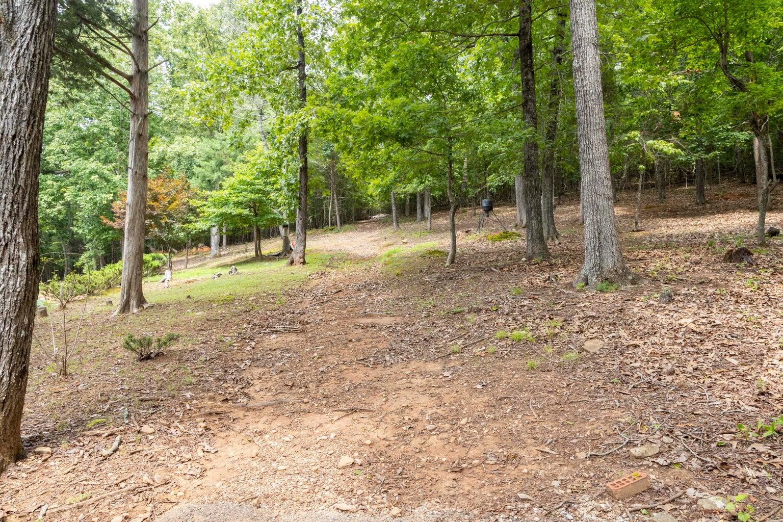 1155 Ware Farms Road Spring City, TN 37381 - Photo 39 of 51 20240729171201115438000000-o
