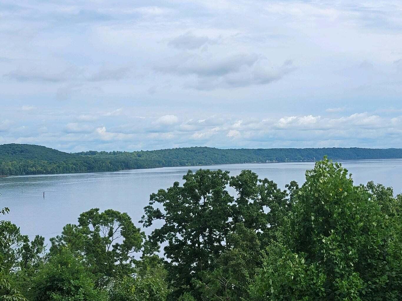 1155 Ware Farms Road Spring City, TN 37381 - Photo 4 of 51 20240729231255056602000000-o