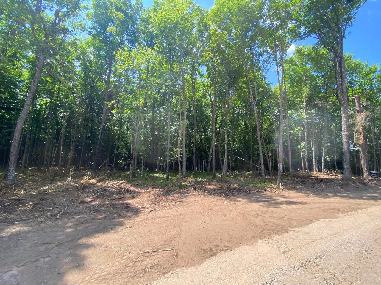 Three Javen Road Three Lakes, WI 54562 - Photo 11 of 14 Gallery Image 11