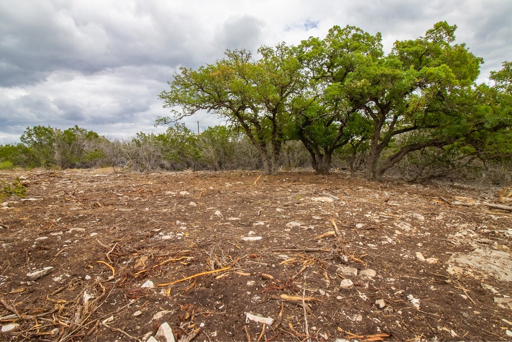 Lot 29 River Valley Road South Ingram, TX 78025 - Photo 11 of 14