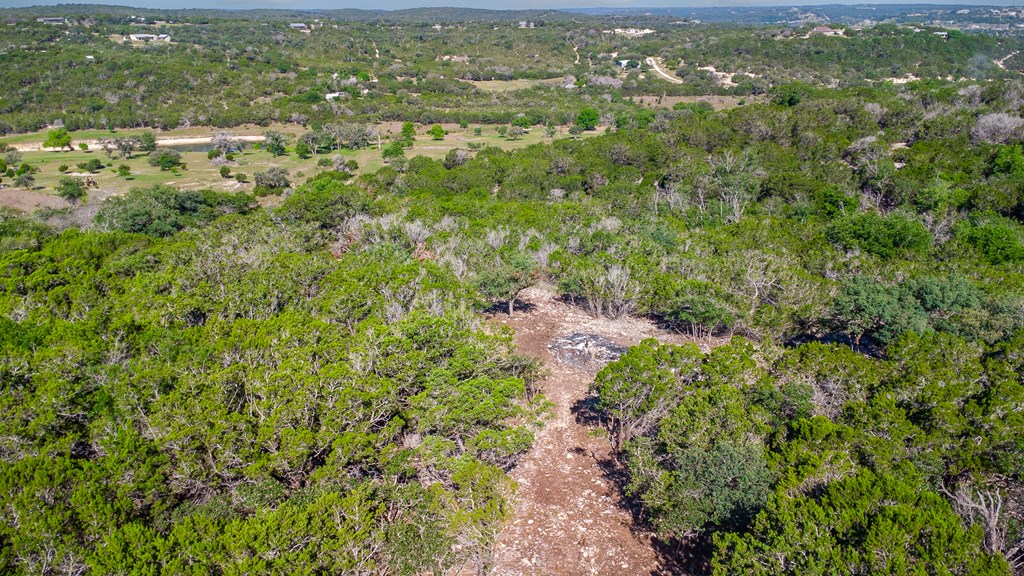 Lot 29 River Valley Road South Ingram, TX 78025 - Photo 2 of 12 a view of a city with lush green forest
