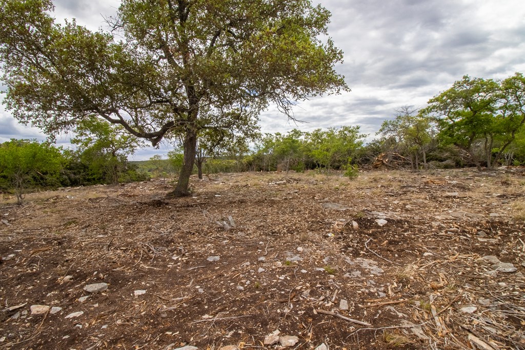 Lot 29 River Valley Road South Ingram, TX 78025 - Photo 6 of 14