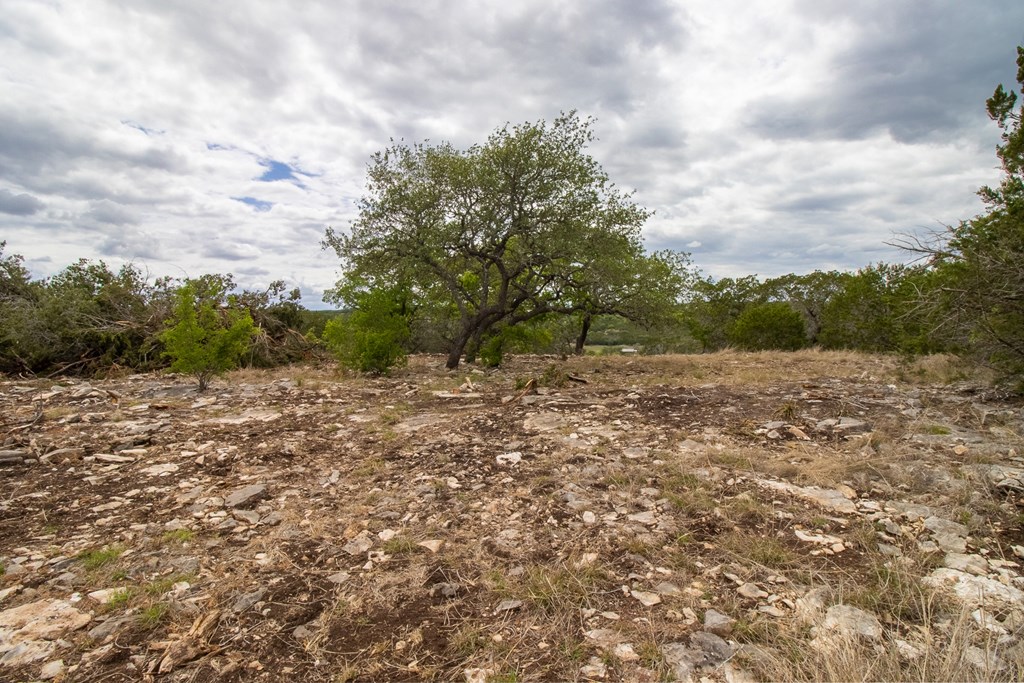 Lot 29 River Valley Road South Ingram, TX 78025 - Photo 7 of 14