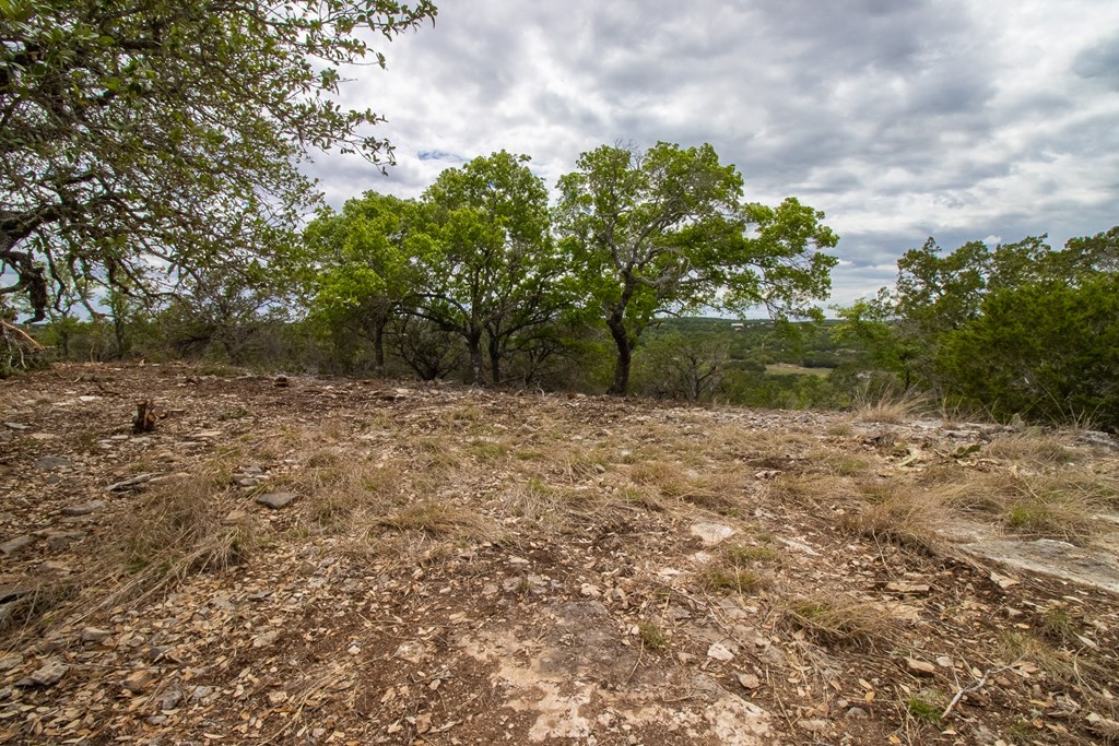 Lot 29 River Valley Road South Ingram, TX 78025 - Photo 8 of 14