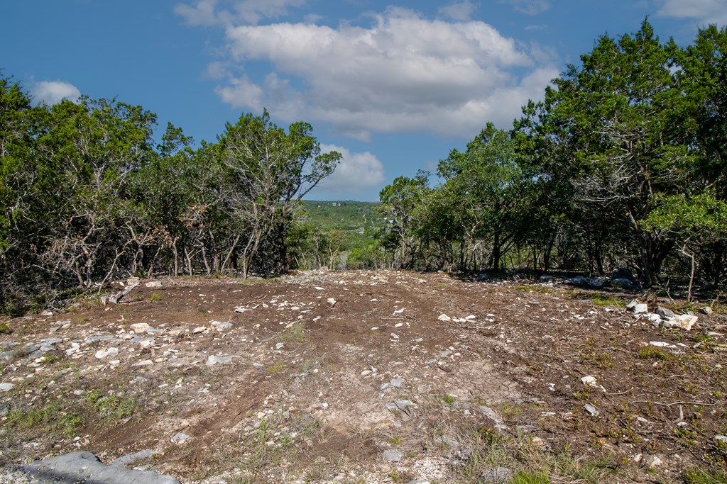 Lot 29 River Valley Road South Ingram, TX 78025 - Photo 8 of 12 a view of a yard with plants and trees