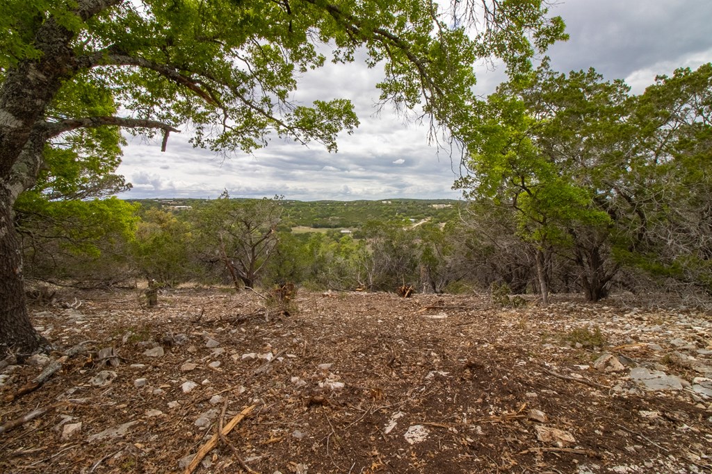 Lot 29 River Valley Road South Ingram, TX 78025 - Photo 9 of 14