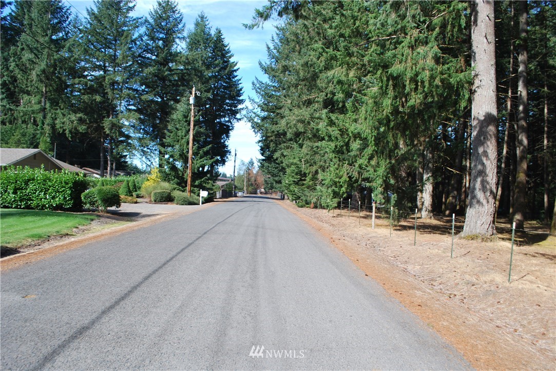 5205 185th Avenue Southwest Rochester, WA 98579 - Photo 11 of 17 a view of road with a house in the background