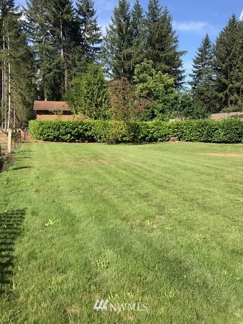 5205 185th Avenue Southwest Rochester, WA 98579 - Photo 17 of 17 a view of a field with an trees