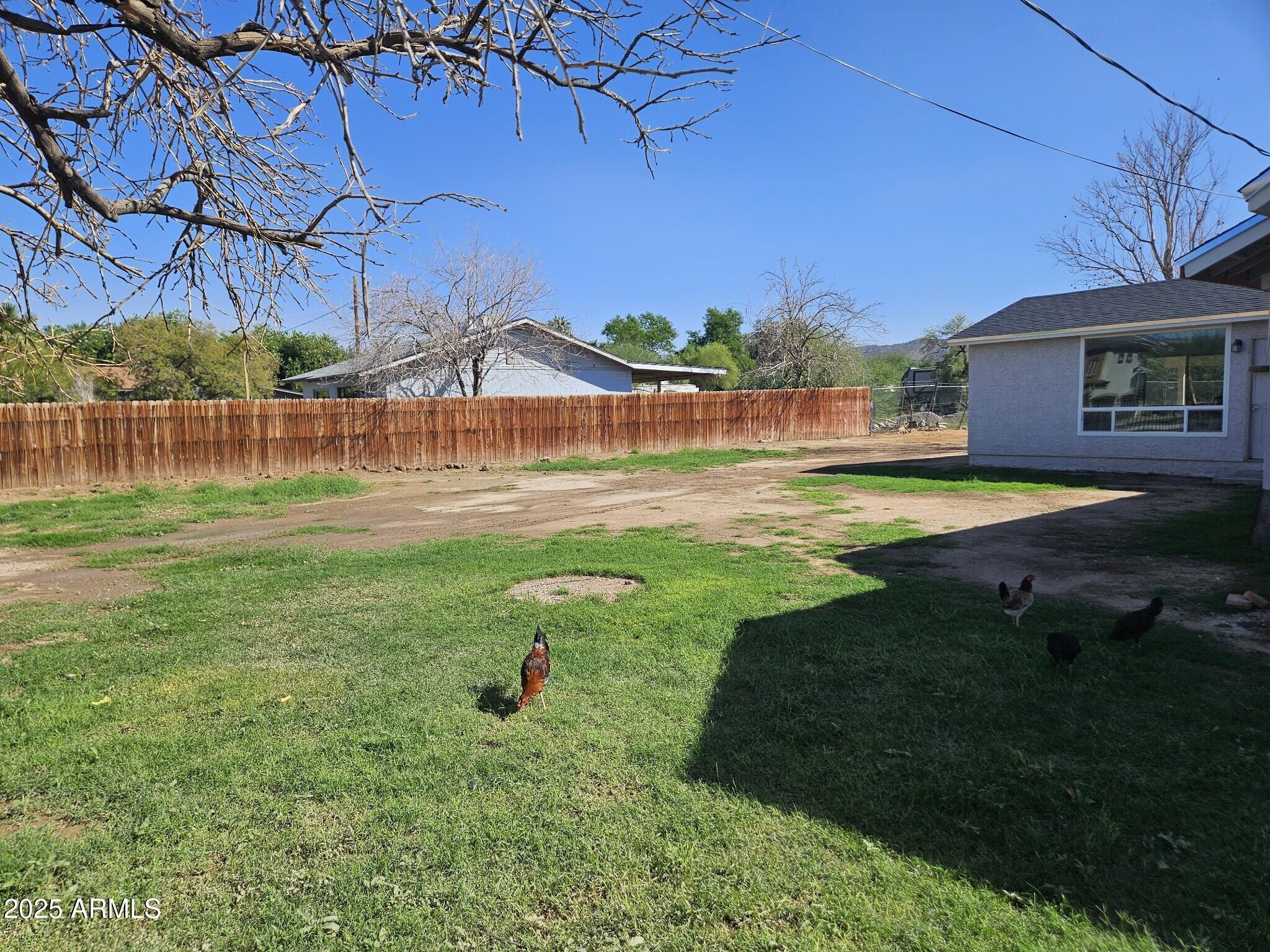 819 East Apollo Road Phoenix, AZ 85042 - Photo 13 of 17 a view of a backyard