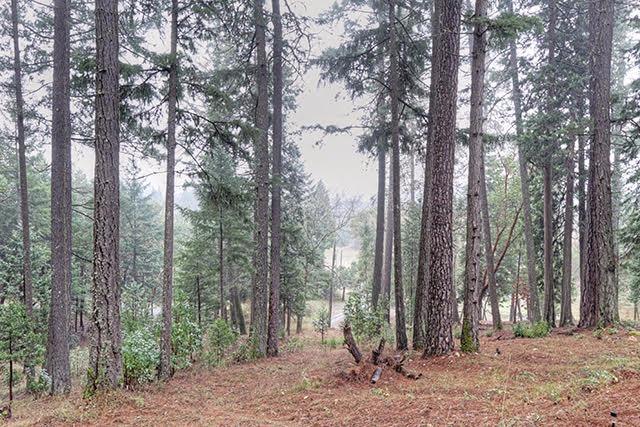 6000 Tunnel Loop Road Grants Pass, OR 97526 - Photo 30 of 33 Additional Photo