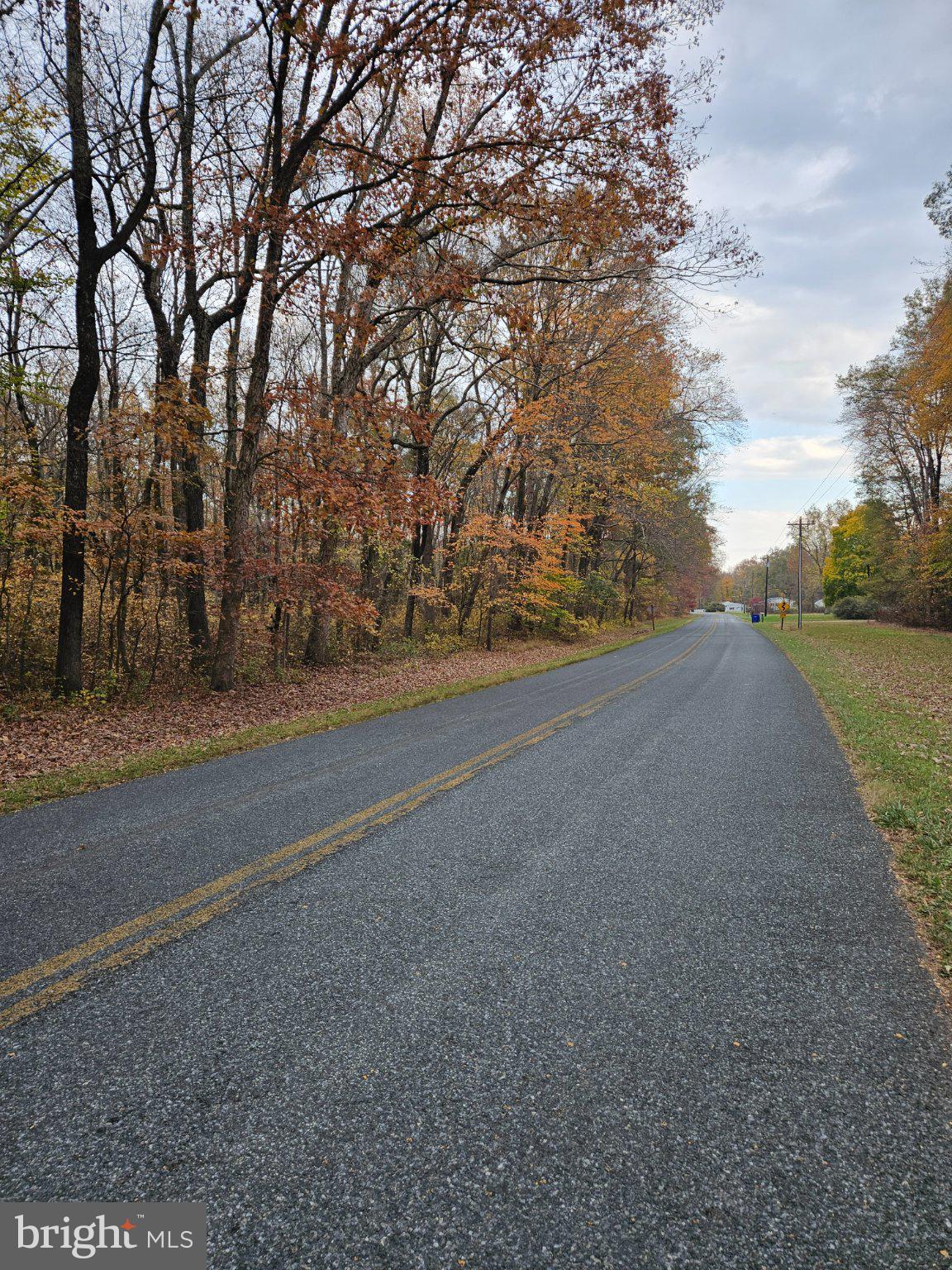 1031 Peters Corner Road Sudlersville, MD 21668 - Photo 5 of 7 Autumn's path through quiet woods.