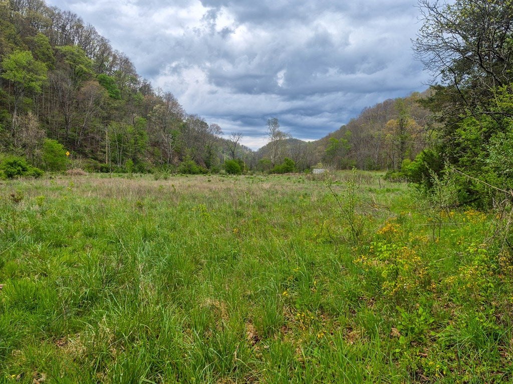 2789 Dry Fork Road, Unit 10 Bandy, VA 24602 - Photo 30 of 59 Gallery Image 30