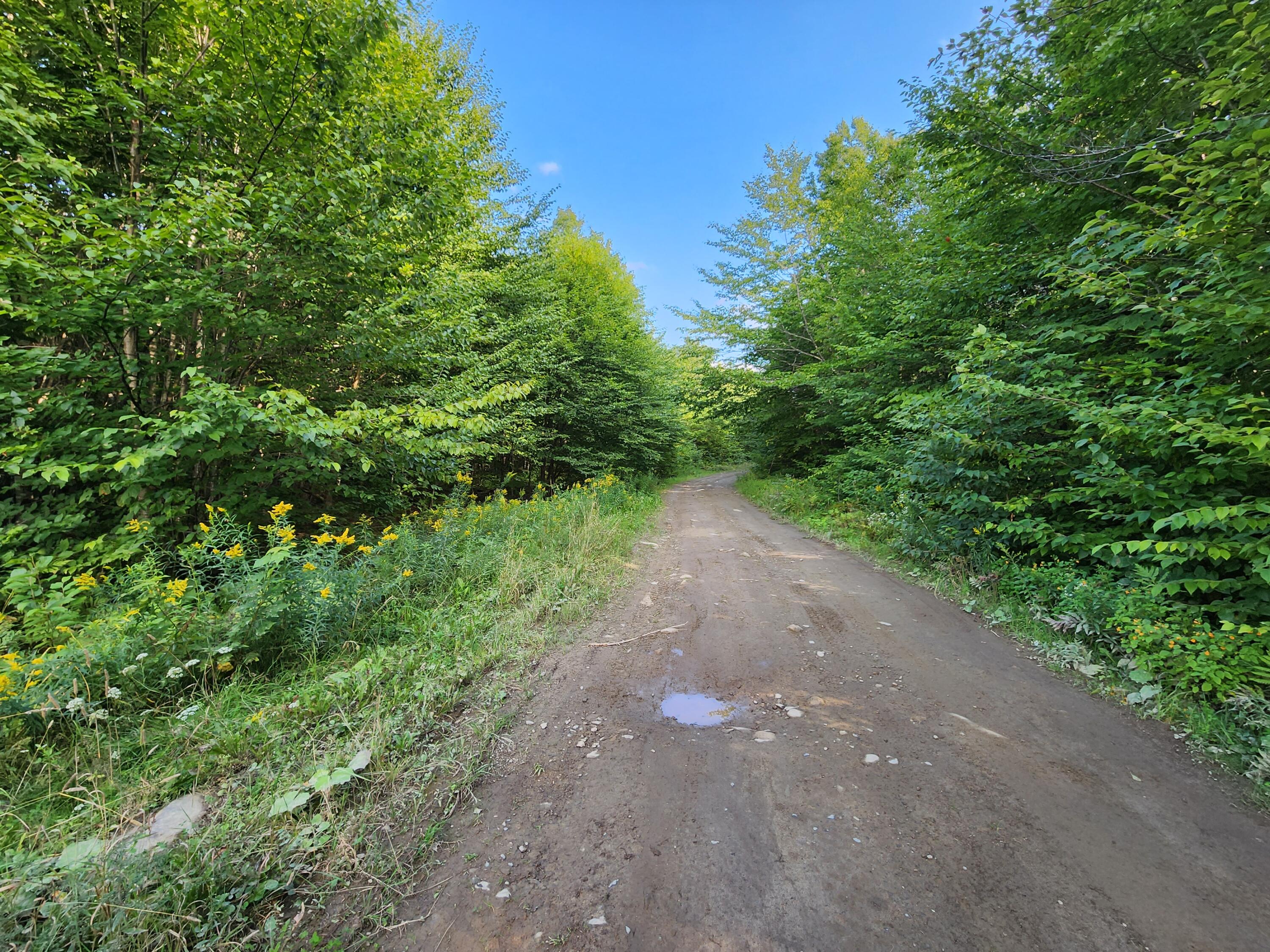 Lot D Fire Road Linneus, ME 04730 - Photo 2 of 5 20230829_162034