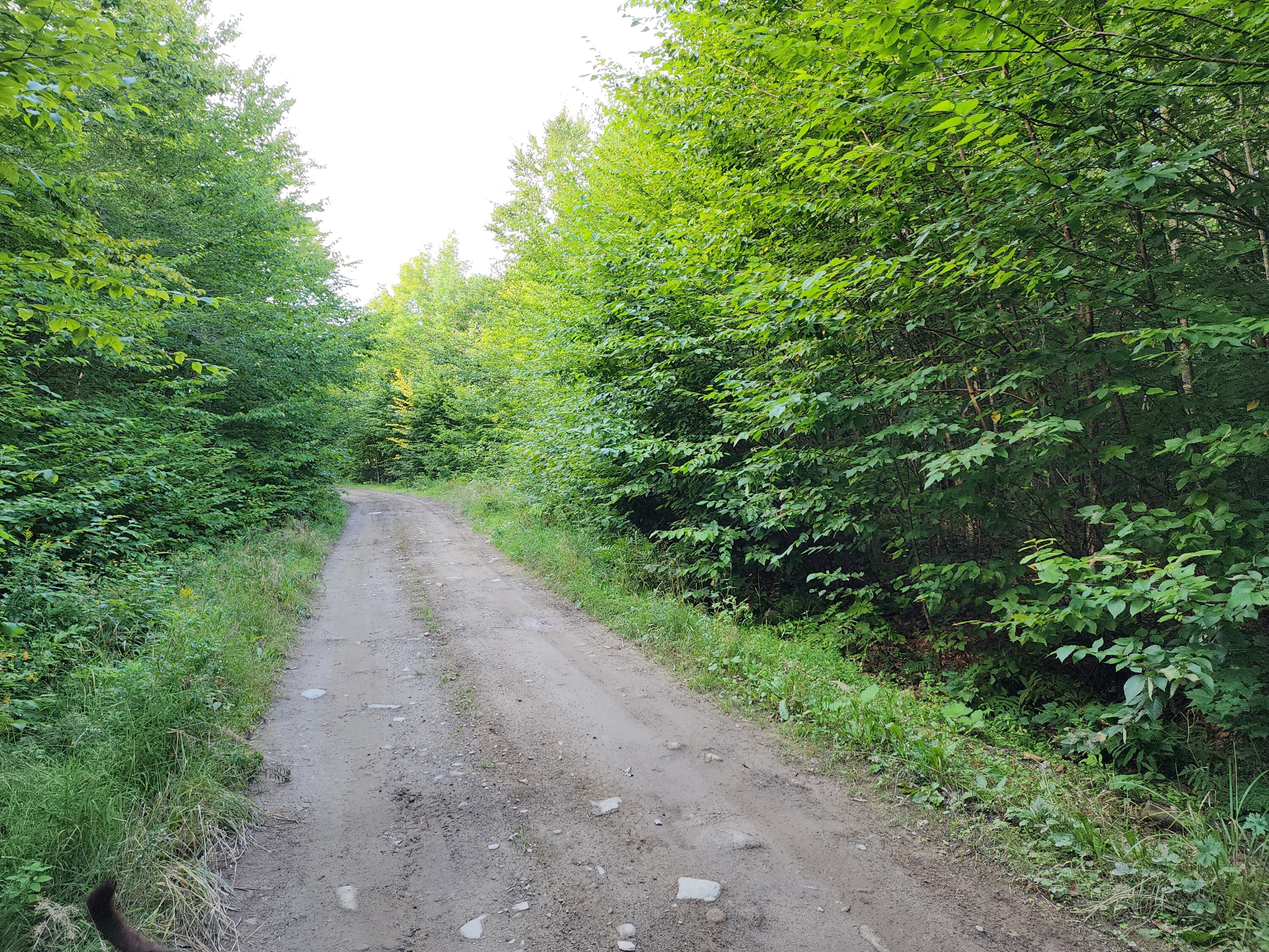 Lot D Fire Road Linneus, ME 04730 - Photo 3 of 5 20230829_161622