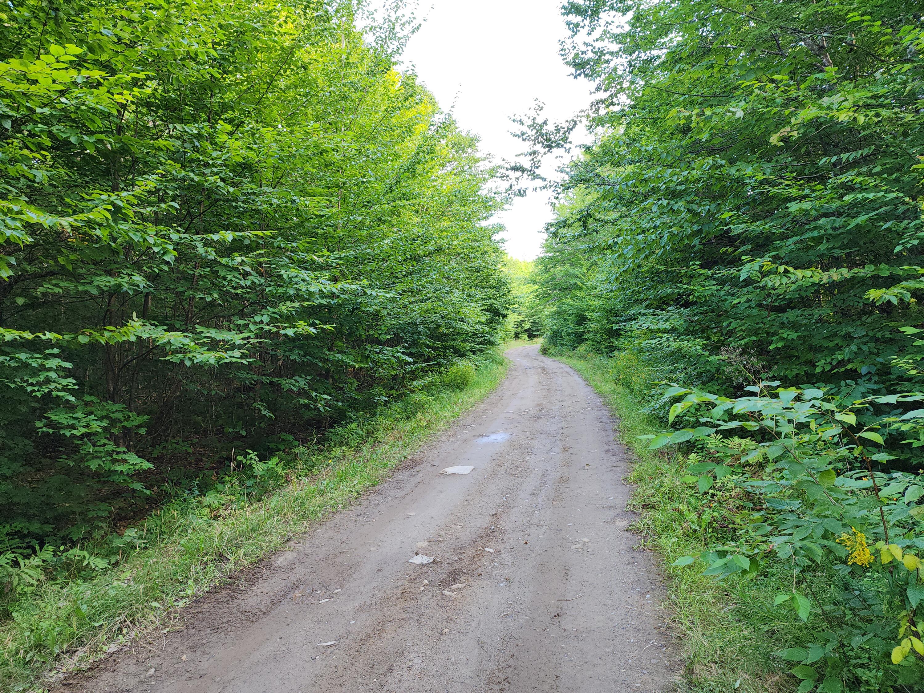 Lot D Fire Road Linneus, ME 04730 - Photo 4 of 5 20230829_161628