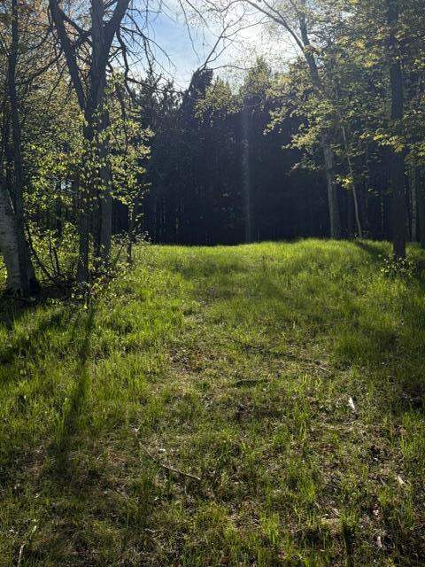 3 County Road 3 Merrifield, MN 56465 - Photo 29 of 36