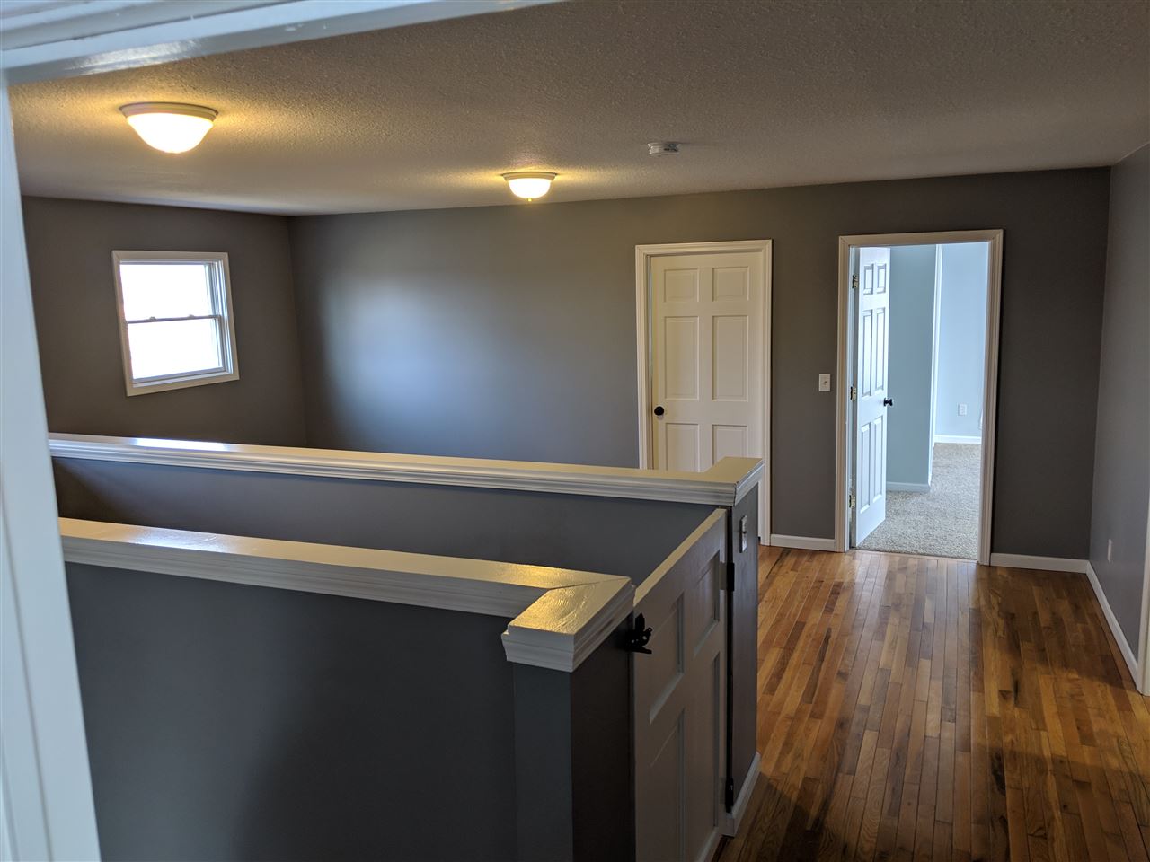 1535 Cheesman Road St. Louis, MI 48880 - Photo 19 of 30 1858989-18.JPG
