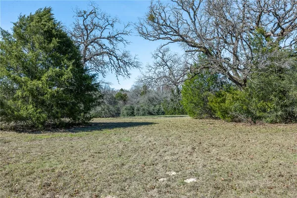 a view of backyard with green space
