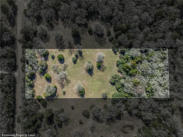 a view of a tree with a yard