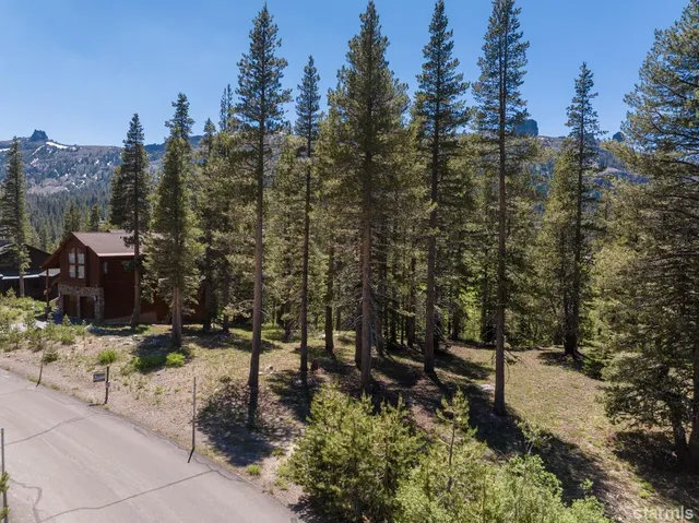 a view of a covered with snow in the background