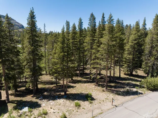 a view of a large yard with lots of green space