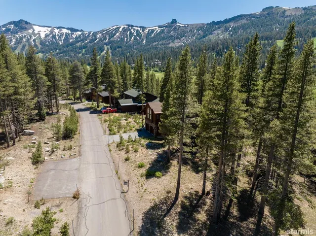 a view of a forest with a street